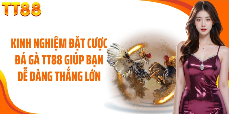 Kinh nghiệm đặt cược đá gà TT88 giúp bạn dễ dàng thắng lớn