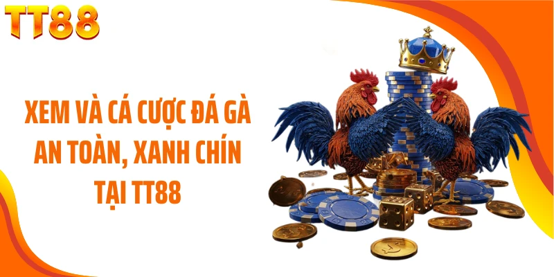 Xem và cá cược đá gà an toàn, xanh chín tại TT88