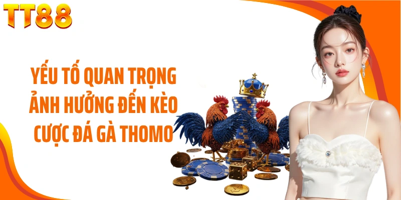 Yếu tố quan trọng ảnh hưởng đến kèo cược đá gà Thomo